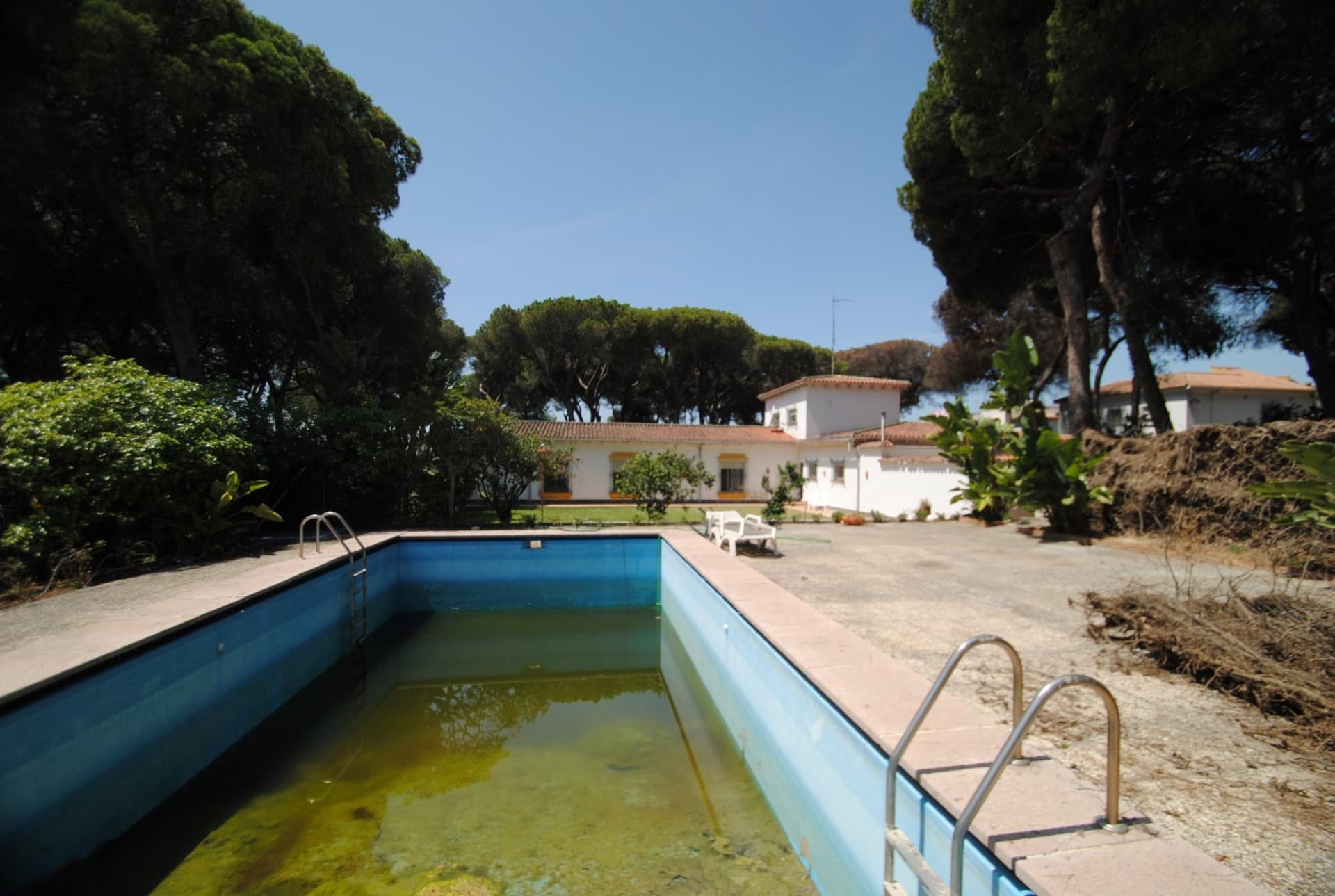 Photo of a dirty and empty pool